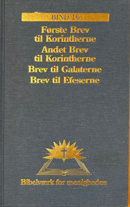 Bibelværk for menigheden - Bind 16 Manna.fo