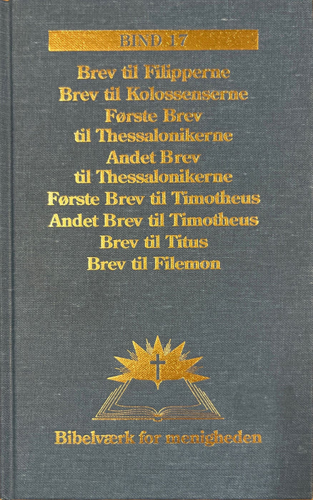 Bibelværk for menigheden - Bind 17 Manna.fo