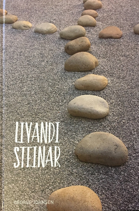Livandi steinar Andaktsbøkur Bøkur